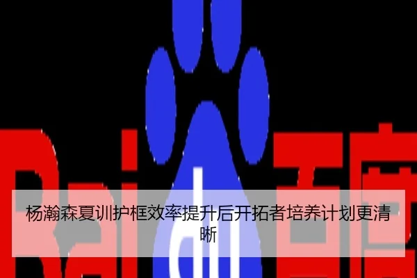 杨瀚森夏训护框效率提升后开拓者培养计划更清晰