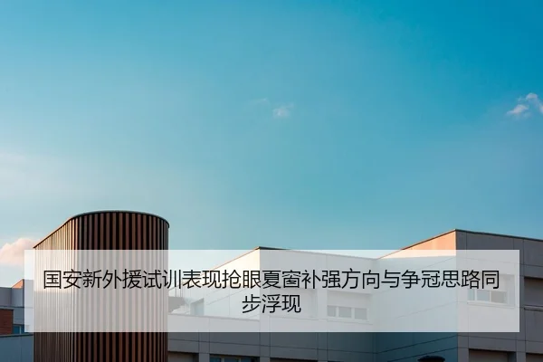 国安新外援试训表现抢眼夏窗补强方向与争冠思路同步浮现