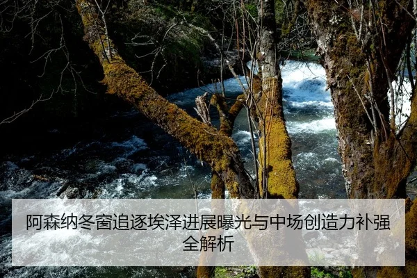 阿森纳冬窗追逐埃泽进展曝光与中场创造力补强全解析